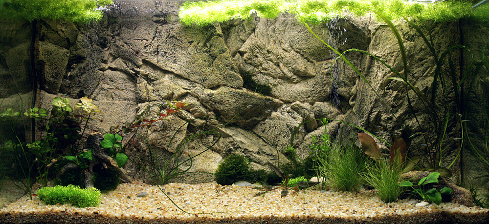 объемный фон для аквариума фото